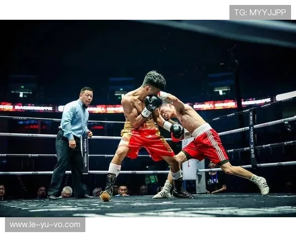 拳击重量级冠军新星崛起，未来争霸赛谁与争锋？